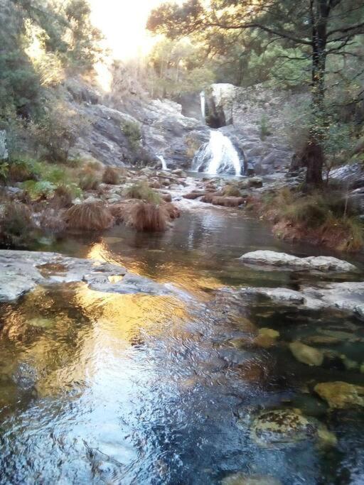 Viana Do Castelo - Amonde Village -Casa A * Relax المظهر الخارجي الصورة