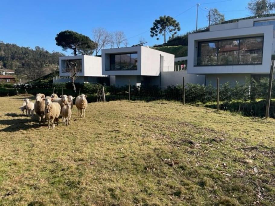 Viana Do Castelo - Amonde Village -Casa A * Relax المظهر الخارجي الصورة