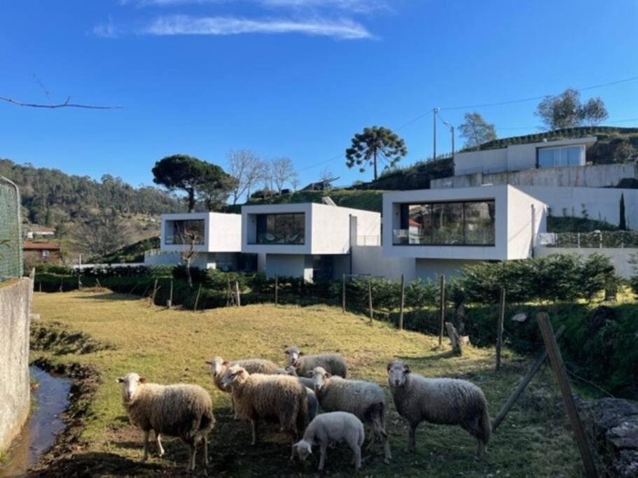 Viana Do Castelo - Amonde Village -Casa A * Relax المظهر الخارجي الصورة